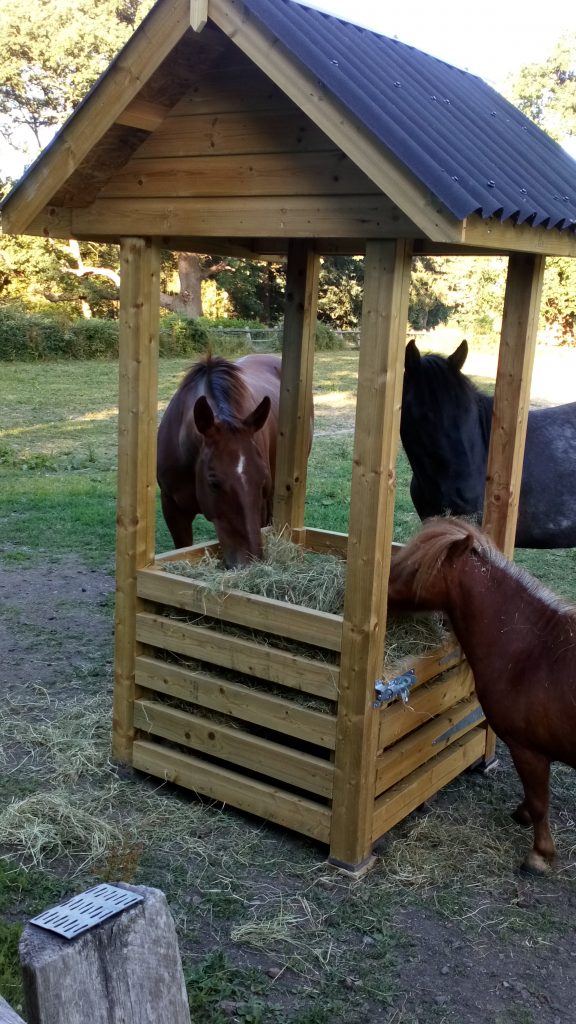 Wooden Hay Bale Feeder With A Roof American Quarter Horses