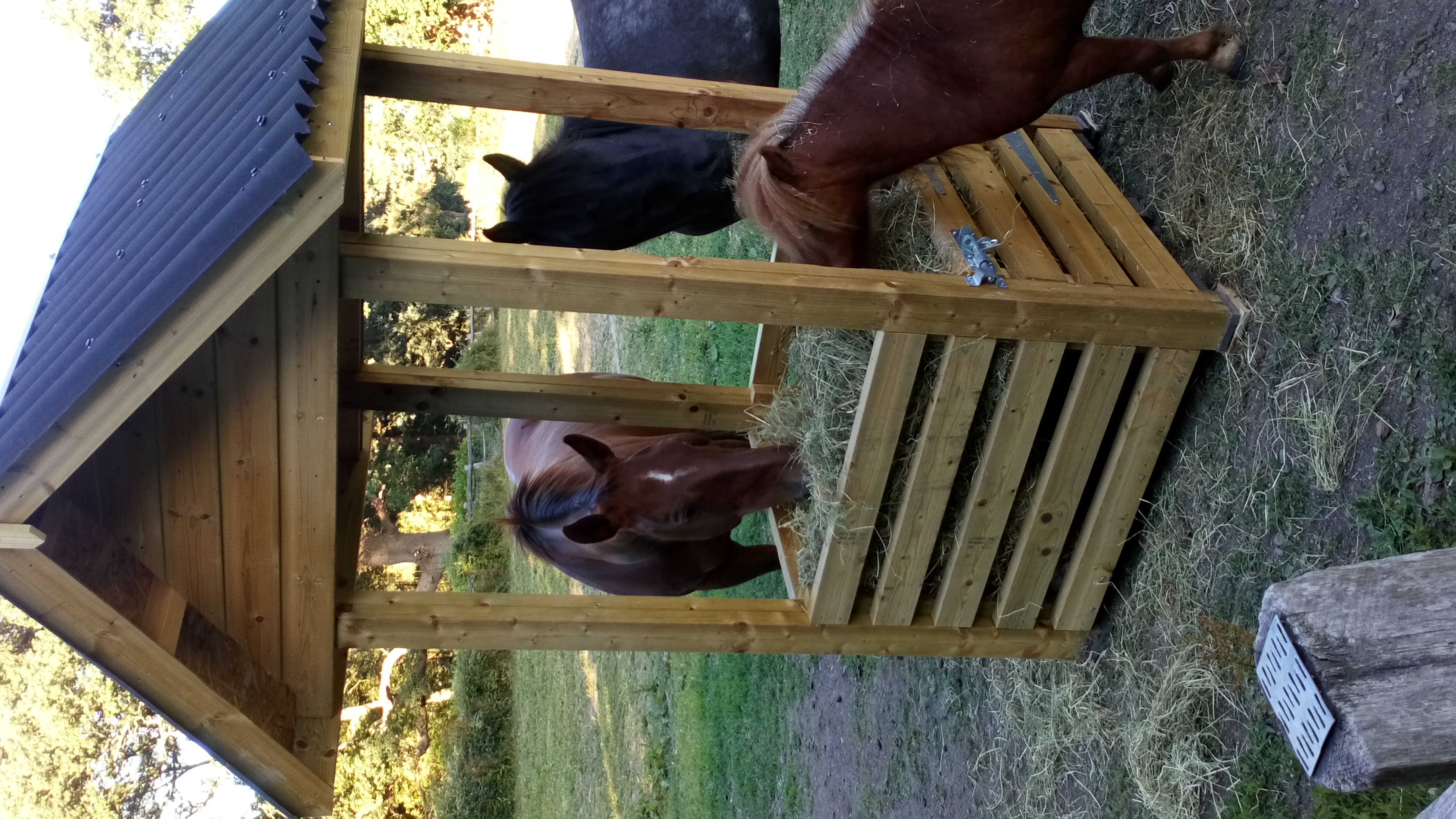 Wooden Hay Bale Feeder With A Roof American Quarter Horses