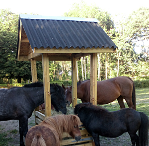 Wooden Hay Bale Feeder With A Roof American Quarter Horses
